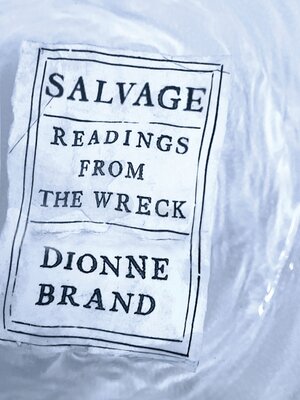 cover image of Salvage